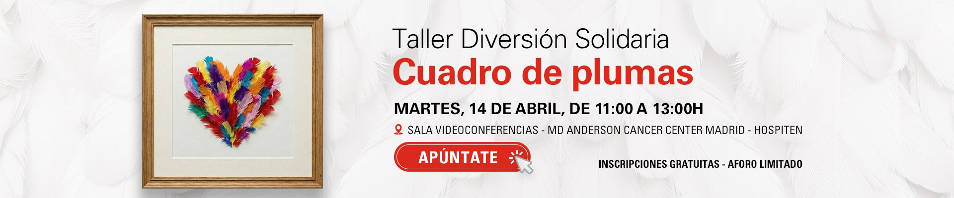Taller Diversión Solidaria  Cuadro de plumas