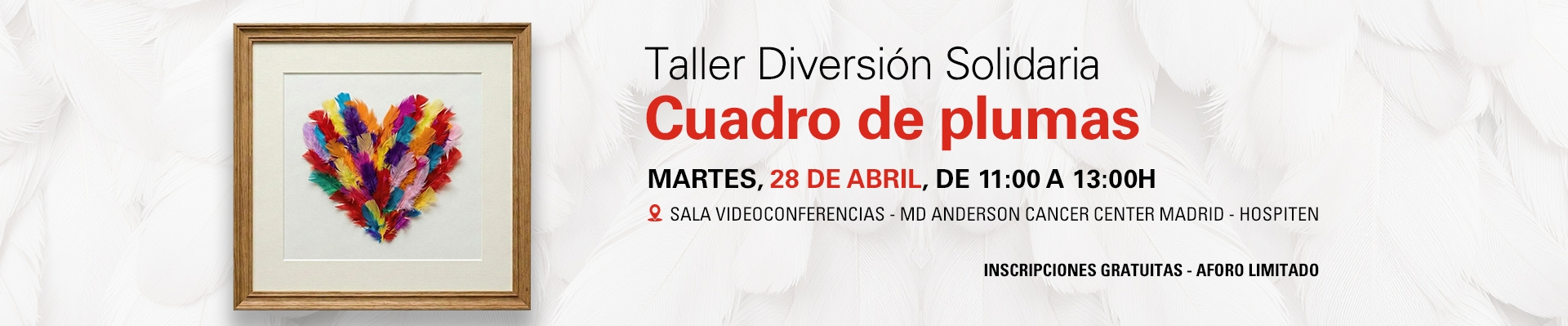 Taller Diversión Solidaria  Cuadro de plumas