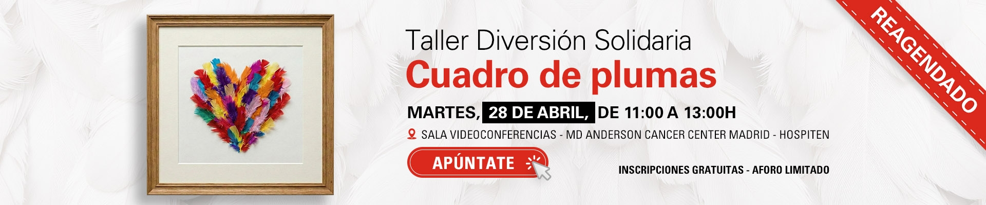 Taller Diversión Solidaria  Cuadro de plumas