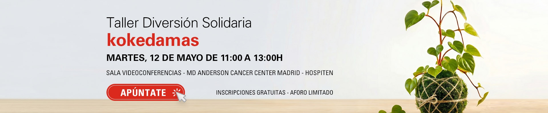 Taller Diversión Solidaria: kokedamas